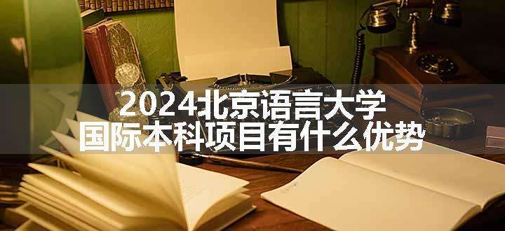 2024北京语言大学国际本科项目有什么优势