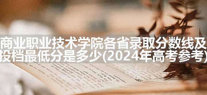 山东商业职业技术学院各省录取分数线及位次 投档最低分是多少(2024年高考参考)