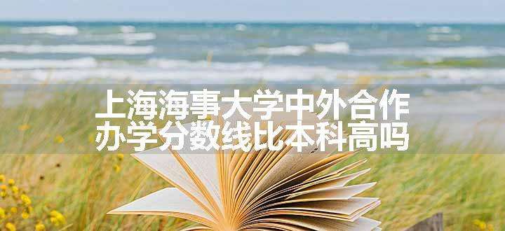 上海海事大学中外合作办学分数线比本科高吗