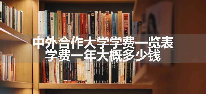 中外合作大学学费一览表 学费一年大概多少钱