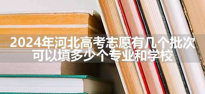 2024年河北高考志愿有几个批次 可以填多少个专业和学校