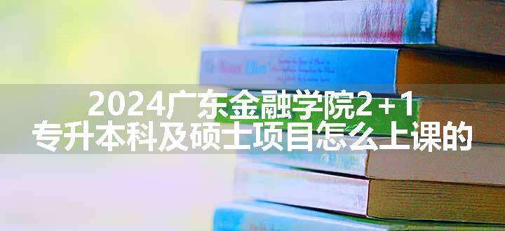 2024广东金融学院2+1专升本科及硕士项目怎么上课的