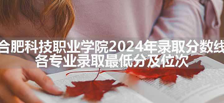 合肥科技职业学院2024年录取分数线 各专业录取最低分及位次