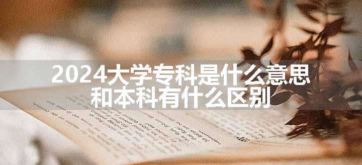 2024大学专科是什么意思 和本科有什么区别