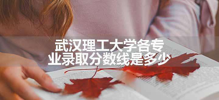 武汉理工大学各专业录取分数线是多少