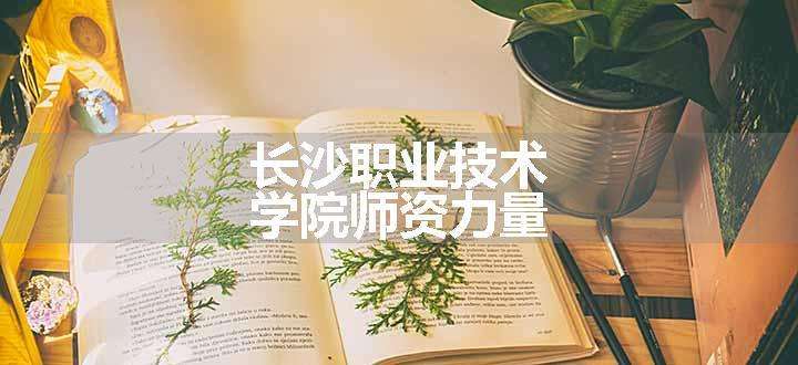 长沙职业技术学院师资力量