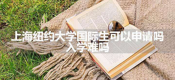 上海纽约大学国际生可以申请吗