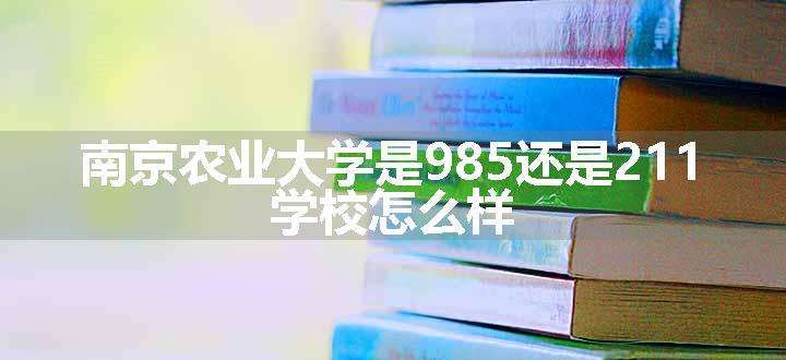 南京农业大学是985还是211 学校怎么样