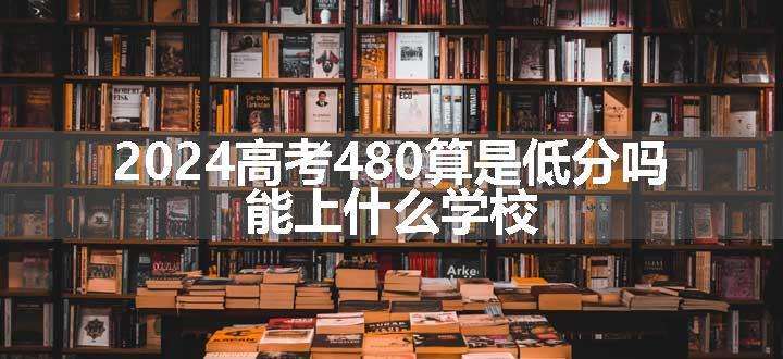 2024高考480算是低分吗 能上什么学校