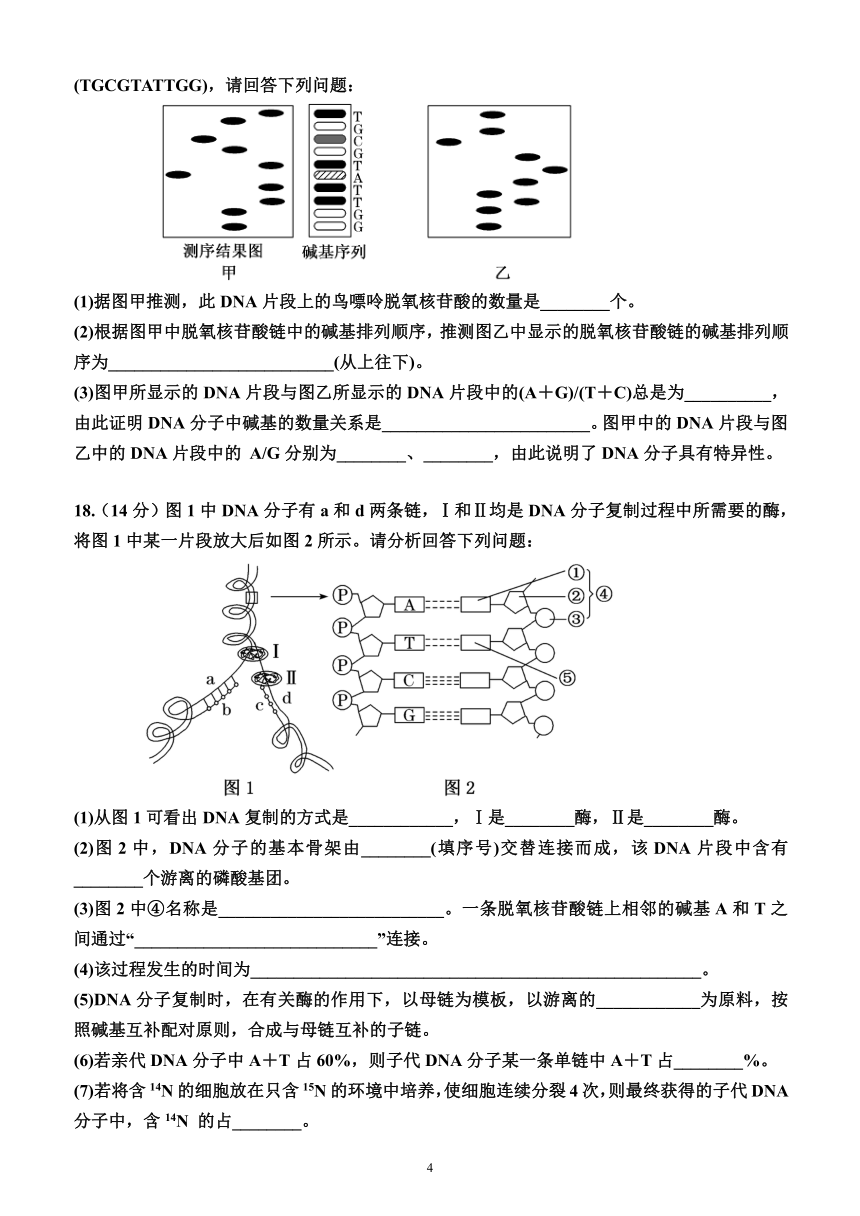 第三章 基因的本质（单元测试）（附答案）—2023-2024学年高一下学期生物必修2（人教版(2019））