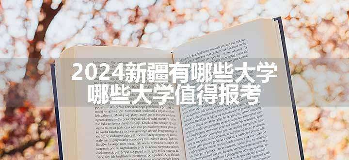 2024新疆有哪些大学 哪些大学值得报考