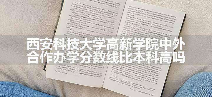 西安科技大学高新学院中外合作办学分数线比本科高吗