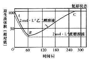 用2mol·L-1的乙二醇溶液和2mol·L－1的蔗糖溶液分别浸浴某种生物细胞，观察质壁分离现象，得到其...