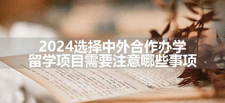 2024选择中外合作办学留学项目需要注意哪些事项