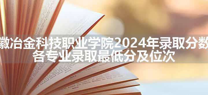 安徽冶金科技职业学院2024年录取分数线 各专业录取最低分及位次