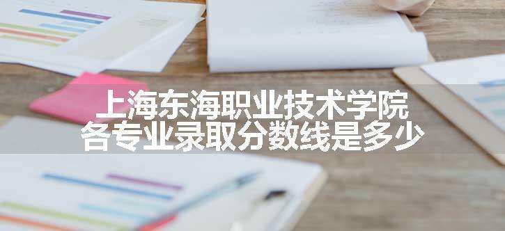 上海东海职业技术学院各专业录取分数线是多少