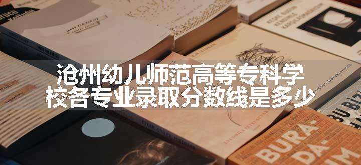 沧州幼儿师范高等专科学校各专业录取分数线是多少