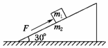 如图所示，质量为m1＝5kg的物体，置于一粗糙的斜面上，用一平行于斜面的大小为30N的力F推物体，物体沿...