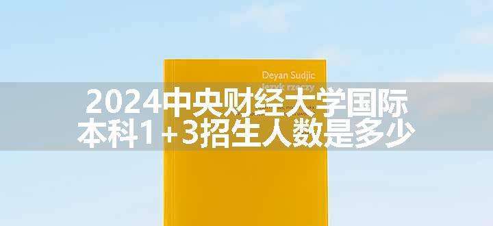 2024中央财经大学国际本科1+3招生人数是多少