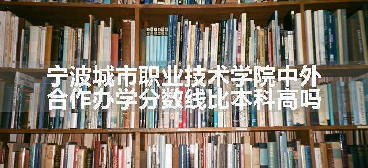 宁波城市职业技术学院中外合作办学分数线比本科高吗