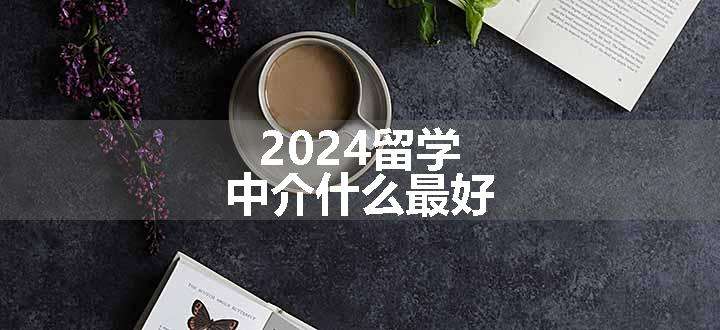 2024留学中介什么最好