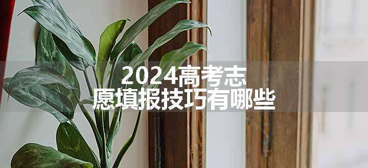 2024高考志愿填报技巧有哪些