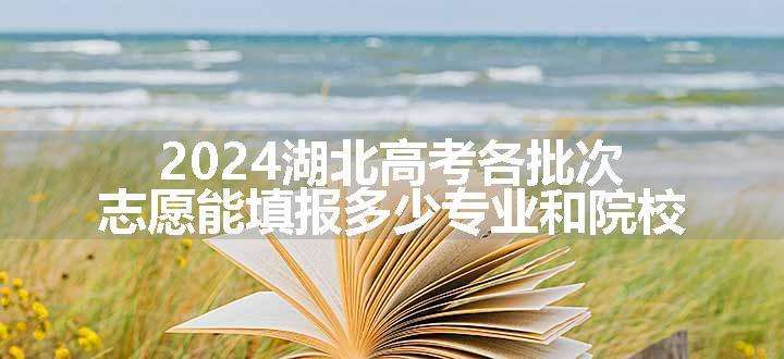 2024湖北高考各批次志愿能填报多少专业和院校