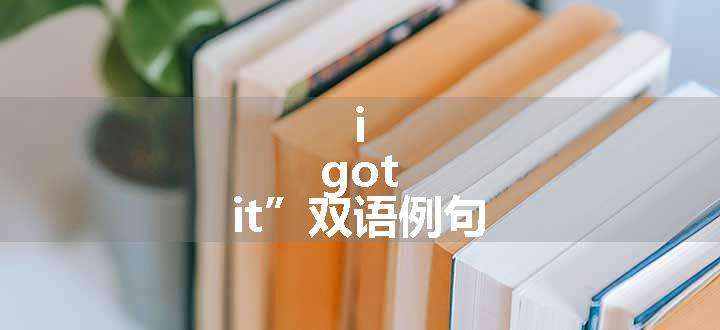 i got it”双语例句