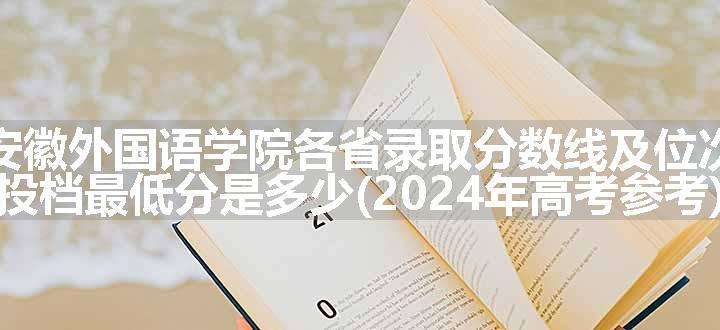 安徽外国语学院各省录取分数线及位次 投档最低分是多少(2024年高考参考)