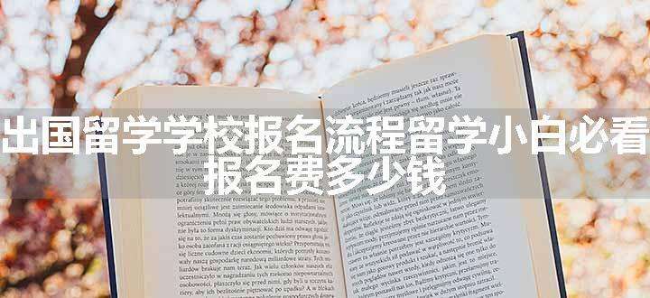 出国留学学校报名流程留学小白必看 报名费多少钱