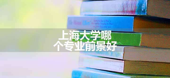 上海大学哪个专业前景好