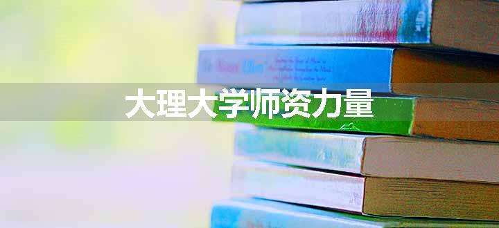 大理大学师资力量