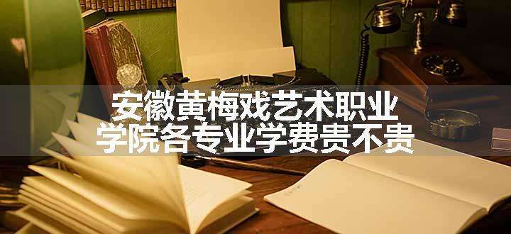 安徽黄梅戏艺术职业学院各专业学费贵不贵