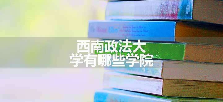 西南政法大学有哪些学院