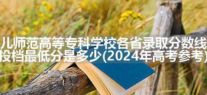 合肥幼儿师范高等专科学校各省录取分数线及位次 投档最低分是多少(2024年高考参考)