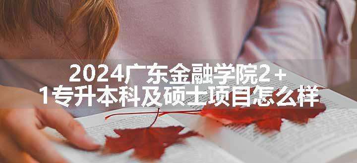 2024广东金融学院2+1专升本科及硕士项目怎么样