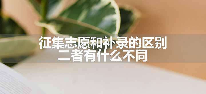 征集志愿和补录的区别 二者有什么不同