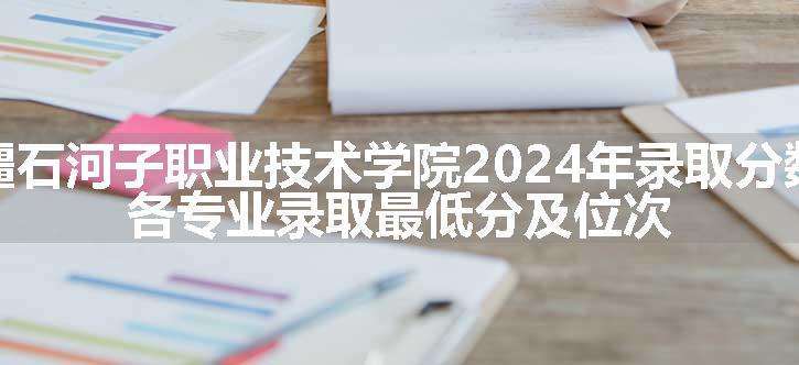 新疆石河子职业技术学院2024年录取分数线 各专业录取最低分及位次