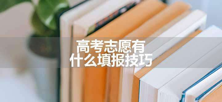 高考志愿有什么填报技巧