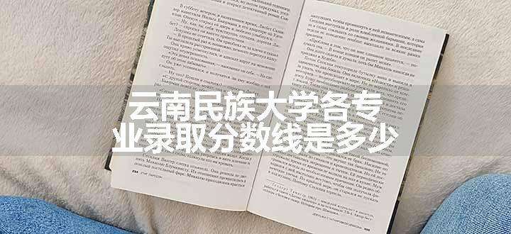 云南民族大学各专业录取分数线是多少