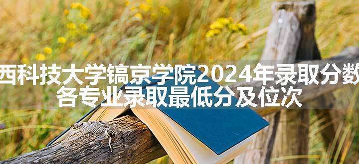 陕西科技大学镐京学院2024年录取分数线 各专业录取最低分及位次