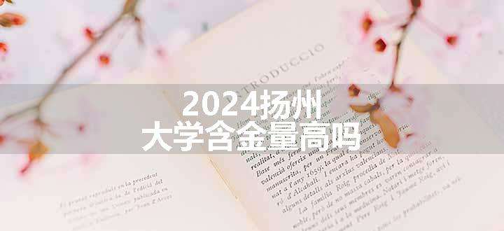 2024扬州大学含金量高吗