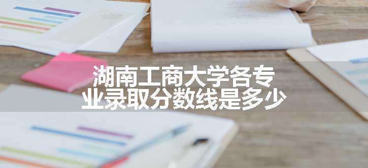 湖南工商大学各专业录取分数线是多少