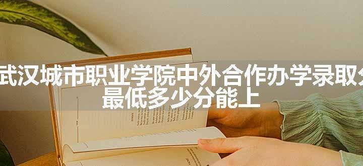 2023武汉城市职业学院中外合作办学录取分数线 最低多少分能上