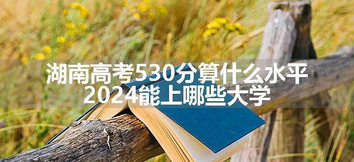 湖南高考530分算什么水平 2024能上哪些大学