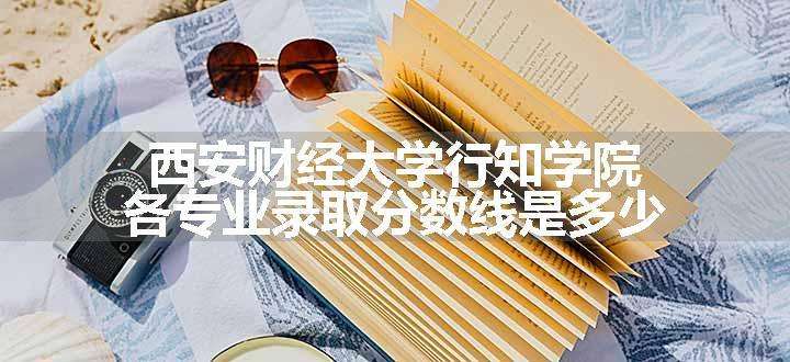 西安财经大学行知学院各专业录取分数线是多少