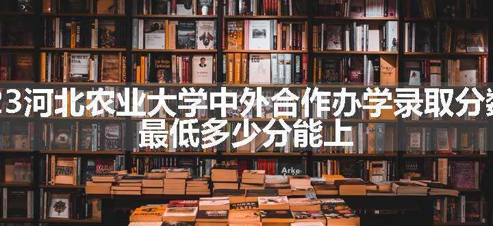 2023河北农业大学中外合作办学录取分数线 最低多少分能上