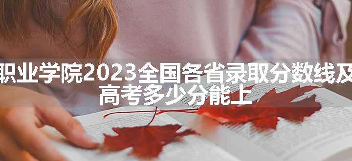 天津滨海职业学院2023全国各省录取分数线及最低位次 高考多少分能上