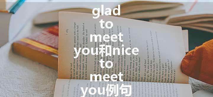 glad to meet you和nice to meet you例句