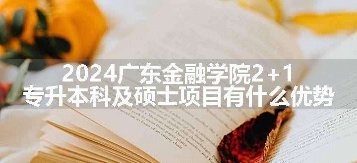 2024广东金融学院2+1专升本科及硕士项目有什么优势